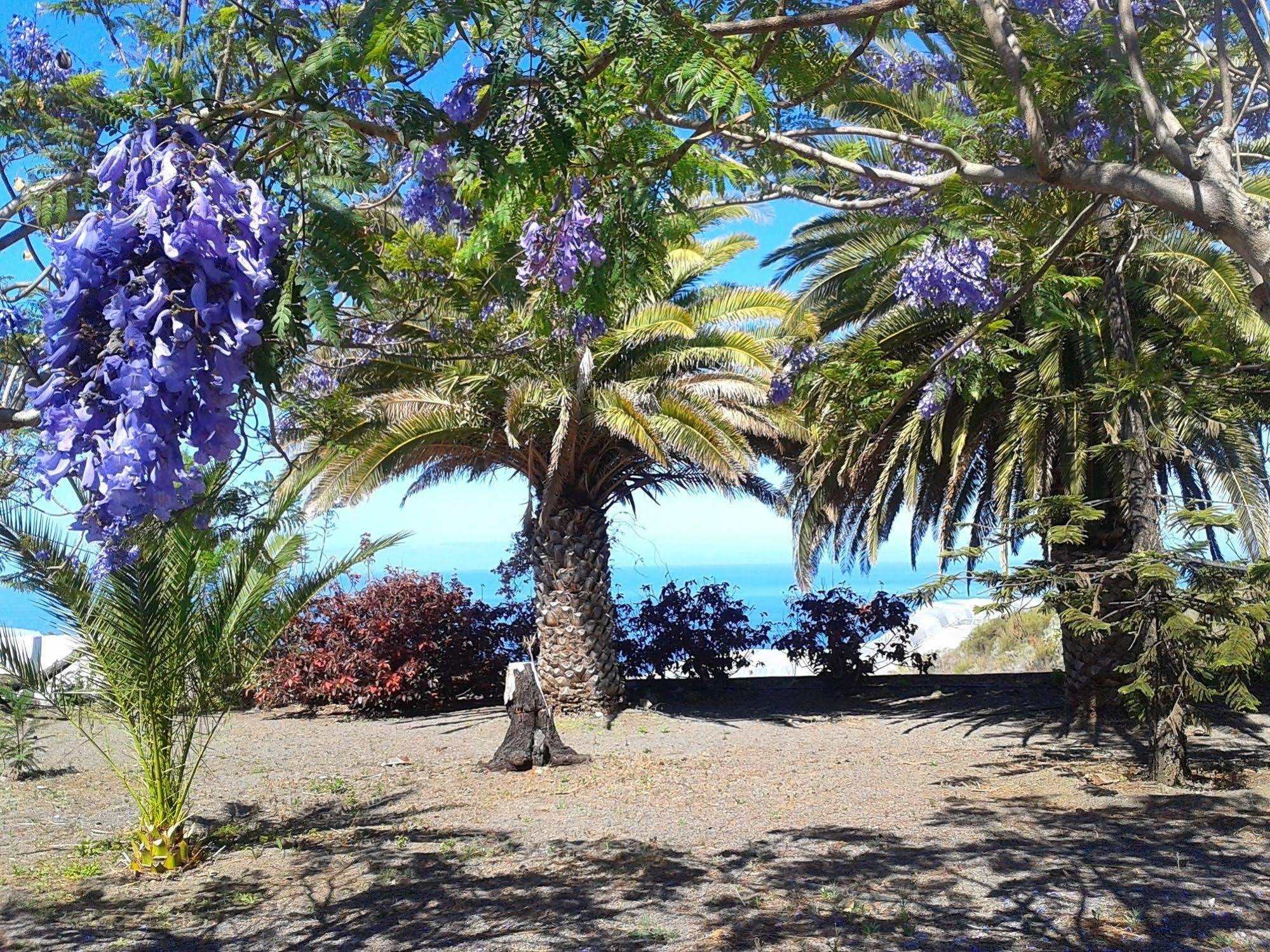 La Palma Sun Nudist Appartement Todoque Buitenkant foto