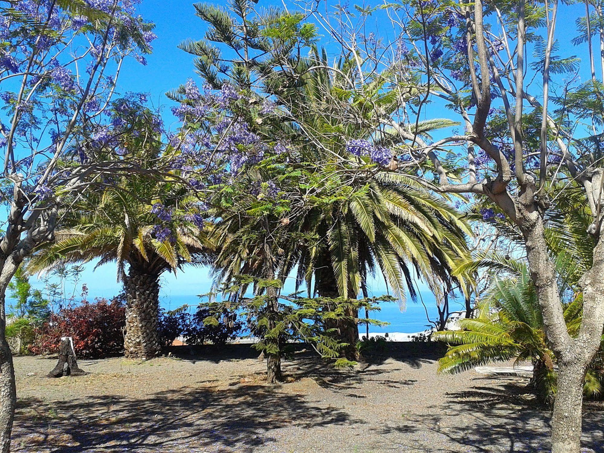 La Palma Sun Nudist Appartement Todoque Buitenkant foto